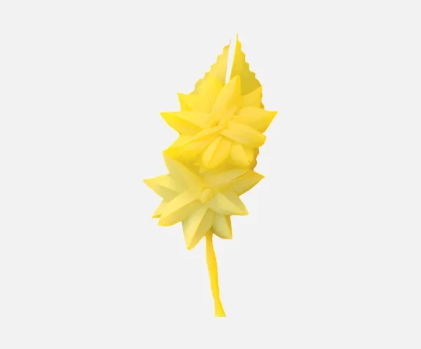 solapa 2 margaritas_27_11zon Solapa 2 Margaritas