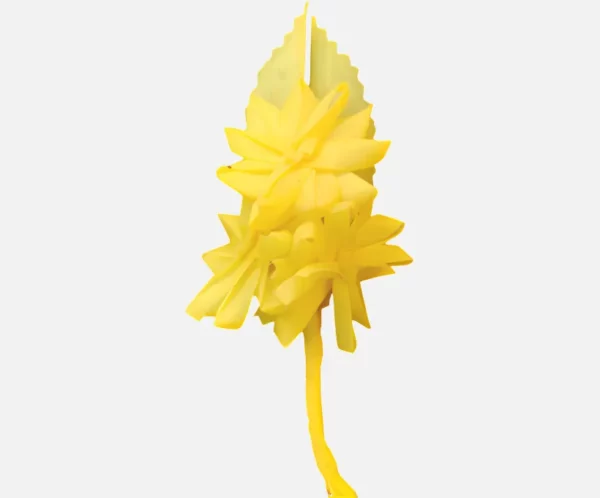 solapa 3 margaritas ampliada_30_11zon Solapa 3 Margaritas